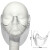 曌月新透明口罩款隐形塑料透明口罩同款防飞沫防护罩PVC口鼻罩香港TVB 透明长款2只装无彩盒