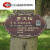 牌子树牌介绍公园定制植物插地绿化学校挂牌树木牌铭牌信息不锈钢 SP-11 24x15cm