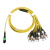 MPO-MPO-LC/FC/MTP万兆单模apc光纤跳线8 12芯40G100G模块连接线OS2 单模MPO-12FC 10m