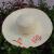 朋安 夏季农用草帽 防晒帽遮阳帽 田园风大沿草编帽  漂白上海41-42厘米1顶 