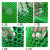 华睿 安全防护网绿色塑料平网格防护养鸡围栏家禽养殖胶网小鸡鸭鹅苗垫网漏粪网片 1米宽2.5孔50米长