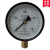 上海荣华仪表Y-100 水压表1.6mpa气压表 真空表负压表2.5 0.6 1 真空压力表-0.10.9mpa