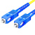 冰禹 BYjq-168 SC-SC单模光纤跳线sc尾纤跳线网络线电信级 单模SC/UPC-SC/UPC 10米/条