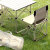 巴米樂（BAMILE）畅享折叠桌椅四件套V BNL-HW705