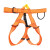 京特 攀岩带半身安全带户外登山拓展高空作业安全带  （橙色） 