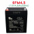 万利达音响电池12V4.5Ah6FM4.5原装Y6电瓶M+9017AB拉杆音箱M+9001 原装LONGWAY 12V4.5AH