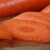 谷真胡萝卜种子彩色萝卜种籽四季蔬菜三红萝卜迷你手指水果萝卜种孑 山姆七寸参10克（根长20-25cm）
