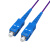 胜为 SC-SC单模单芯10米 电信级铠装光纤跳线 抗压防鼠咬室内抗拉尾纤缆FSCK-1100
