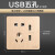 欧普 USB 五孔插座 开关插座面板86型墙壁暗装K11金色系列定制