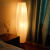 叽哩哇啦北欧欧式简约落地灯ins风客厅卧室书房创意个性轻奢LED纸立式灯罩 大橄榄配套灯罩