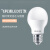 飞利浦照明企业客户LED灯泡 9W  6500K白光 E27螺口