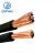 起帆（QIFAN）电缆 YH1*50平方电焊机线缆铜芯橡套绝缘焊把线 黑色 1米 11米起售