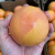 【非西柚】含叶酸葡萄柚柚子新鲜水果孕妇大果薄皮鲜果 0g-精选果8个240-280g