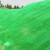 伏旺 盖土网绿化网 建筑工地防尘网绿化遮阳盖沙网盖煤网可定制 绿色4针8x30米