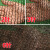 伏旺 盖土网绿化网 建筑工地防尘网绿化遮阳盖沙网盖煤网可定制 黑色4针8*50米
