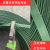 HKNAPET塑钢打包带1608绿色包装带木材砖头打包用塑钢绳捆扎带1910带 普通款1608%23 重10公斤 长约650米