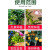 金牛岭 家庭园艺果树花卉高效复合肥5斤 种花种菜肥料定制
