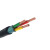 佳雁 电线电缆YJV22 3*6平方 3芯铠装国标铜芯全项保检 电力电缆 1m