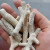 渔师傅 精选珊瑚骨鱼池珊瑚石过滤材料水质龙鱼魟鱼珊瑚骨稳定ph 40斤 大部分5cm以上