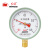 红旗（HONGQI）Y-100红旗普通压力表径向安装-0.1+0.3mpa水压油压气压表螺纹M20*1.5	