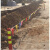 定制适用施工道路旗彩旗工地安全警示三角隔离带彩色警戒线小围绳 100米 一包