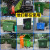 660L环卫分类带盖移动垃圾车小区物业垃圾箱工业桶 1100L整体加厚-绿色带轮带盖
