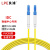 良浦 电信级单模万兆光纤跳线 单模单芯Φ3.0（LC-LC，9/125）10米 光纤线尾纤跳纤 NG-1LC-LC-S10