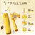 飞利浦电动牙刷成人 莎莉鸡限定礼盒 内含旅行牙刷盒 3种洁齿模式 配备全新柔和亮白刷头 单品HX2482/01