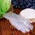 百舸 一次性PVC手套 食品耐油防静电无粉实验透明手套加厚 M码*50