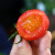圣女果山东小番茄新鲜樱桃小西红柿孕妇水果现摘现发5斤 5斤装