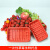 市一次性水果托盘草莓打包盒1710加厚奶油草莓底托包装盒 1811绿色500个