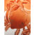 森匠仿古收藏大清手绘中式梵红花瓶古典装饰工艺品摆件描金瓷器摆设 大号手绘梵红折枝九桃胆瓶一个+
