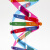 钢骑士 人体基因DNA双螺旋模型 科技小制作手工diy生物科学实验科普教具 人体基因DNA模型（1套起拍） 