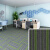 凯柏象KBX 绿色50x50cm 办公室地毯拼接满铺加厚工程商用方块防火KBX-DE-26