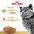 皇家（ROYAL CANIN）猫粮英短成猫蓝猫专用BS34全价主粮美短/布偶/波斯品种粮合集 【新手推荐】美短成猫粮ASA31_2K 2kg