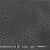 单分散二氧化硅微球粉末（0.05—200微米） 15微米 2克