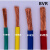 定制国标单芯多股软铜芯电线BVR 50 70 95 120 150平方工程软电线 BVR70平方红色(1米)
