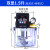 全自动机床泵电动加油泵数控车床注油器220V电磁活塞润滑泵 1.5升双显齿轮泵(抵抗式+容积式)