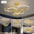VVS网红灯客厅餐厅吊灯简约现代大气全铜轻奢2024年新款灯具大全 卧室直径60*36CM智能语音+遥控