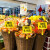防水可擦写价格展示牌超市生鲜商品标签水果店标价牌塑料价签水产 A5黑色板【10个】