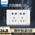 飞利浦（PHILIPS）118型开关插座面板白色多功能组合墙壁电源暗装六孔九孔十二孔 六孔插座(10孔)白色