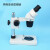 PDOK 双目体视显微镜放大镜工业显微检测仪7到45连续变倍10到40多档变倍解剖鉴定LED环形光源 7-45连续变倍显微镜