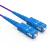胜为 光纤跳线 SC-SC 单模单芯 紫色 5m FSCK-1050