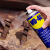 WD-40 除湿防锈剂 螺丝松动剂 wd40 防锈油 多用途金属除锈润滑剂 100ml 1瓶