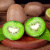 俏农优选 希腊进口奇异果绿果10个装 新鲜水果绿心猕猴桃膳食纤维果 生鲜