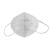 君御（Exsafety） KN95耳带式 折叠口罩 防颗粒物防粉尘粉末口罩 50只/盒（独立包装） G9521