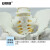 安赛瑞 关节模型 人体骨盆带五节腰椎模型 骨骼模型 妇产科骨外科疼痛科骨骼教学模型 601397