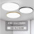 智能吸顶灯 客厅卧室灯LED三防大气房间圆形阳台厨房 28CM白色三防灯-24瓦白光