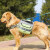 CLCEY狗狗自背包大型犬金毛书包外出便携宠物狗背包大狗胸背带驮包 大 浅绿色