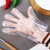 盛世一次性手套透明防水手套薄膜加厚餐饮家务环保手套 抽取式盒装500只买二送一送